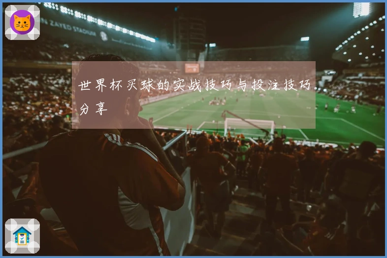 世界杯买球的实战技巧与投注技巧分享