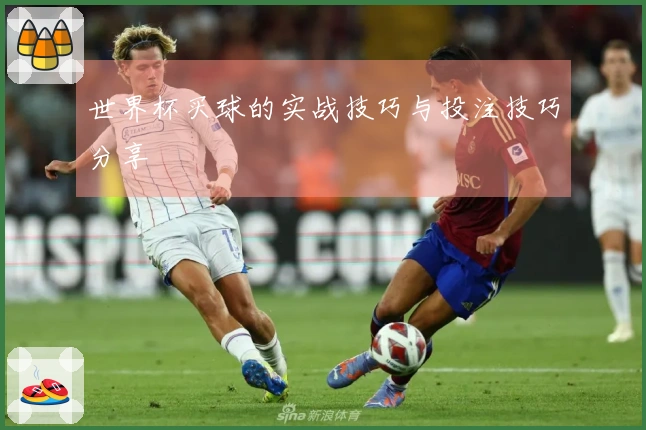 世界杯买球的实战技巧与投注技巧分享
